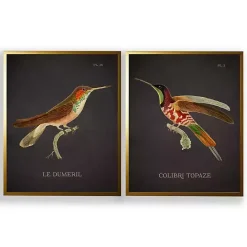 New Kirklands Home Vintage Hummingbird III 2-pc. Framed Art Print Set