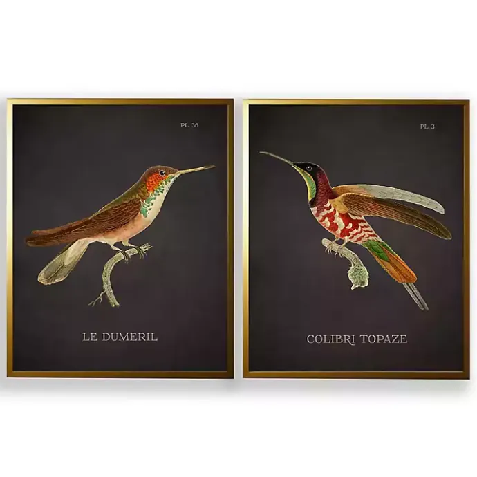 New Kirklands Home Vintage Hummingbird III 2-pc. Framed Art Print Set