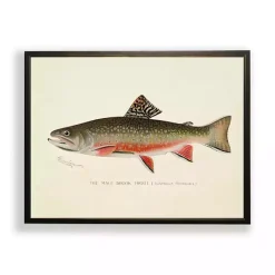 Online Kirklands Home Vintage Male Book Trout Framed Art Print