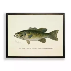 Online Kirklands Home Vintage Small Mouthed Bass Framed Art Print