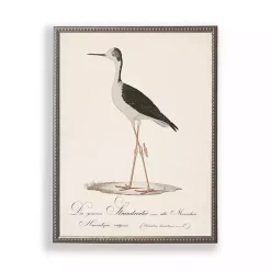 Discount Kirklands Home Vintage Waterbird Facing Left Framed Art Print