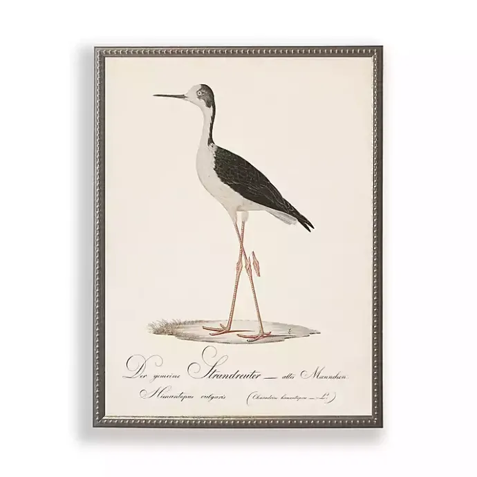 Discount Kirklands Home Vintage Waterbird Facing Left Framed Art Print