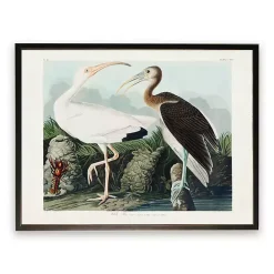 New Kirklands Home Vintage White Ibis Pair Framed Art Print