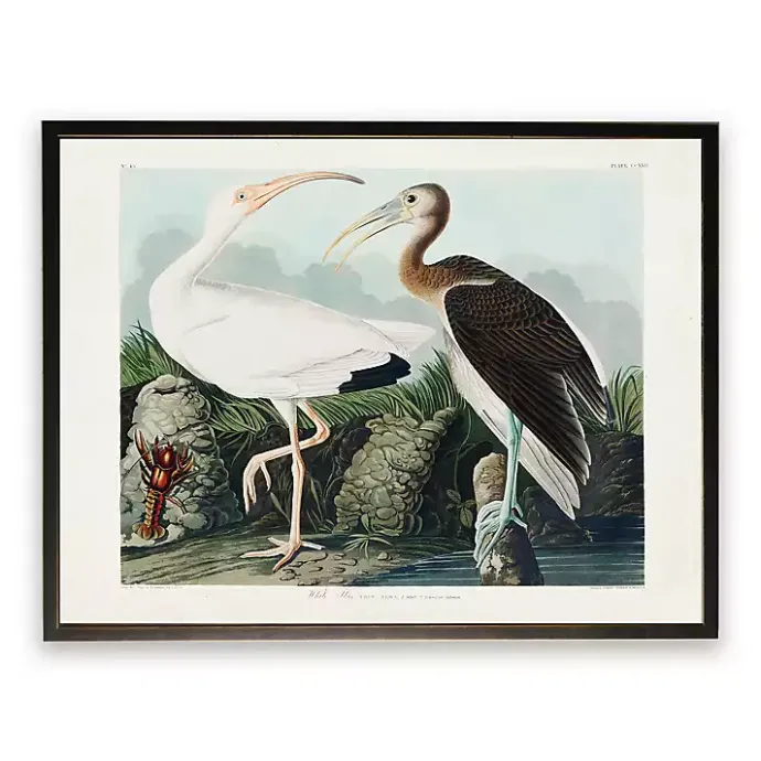 New Kirklands Home Vintage White Ibis Pair Framed Art Print