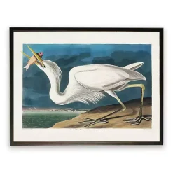 New Kirklands Home Vintage White Pelican With Fish Framed Art Print