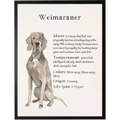 New Kirklands Home Weimaraner Facts Framed Wall Plaque