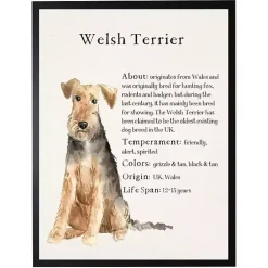 Hot Kirklands Home Welsh Terrier Facts Framed Wall Plaque