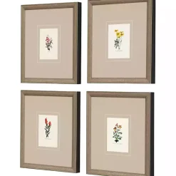 Clearance Kirklands Home Western Wildflower Framed Art Prints, Set of