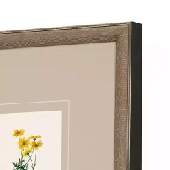 Clearance Kirklands Home Western Wildflower Framed Art Prints, Set of