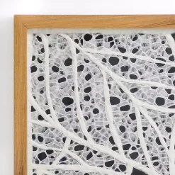 Clearance Kirklands Home White Paper Leaf Shadowbox Wall Plaque