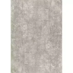 Best Kirklands Home Whitlow Shag Washable Area Rug, 5x8 Gray