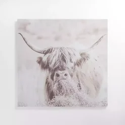 Discount Kirklands Home Wild Highland Cow Canvas Art Print