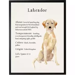 Hot Kirklands Home Yellow Labrador Facts Framed Wall Plaque