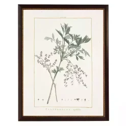 Clearance Kirklands Home Zanthorhiza Greenery Black Beaded Framed Art Print